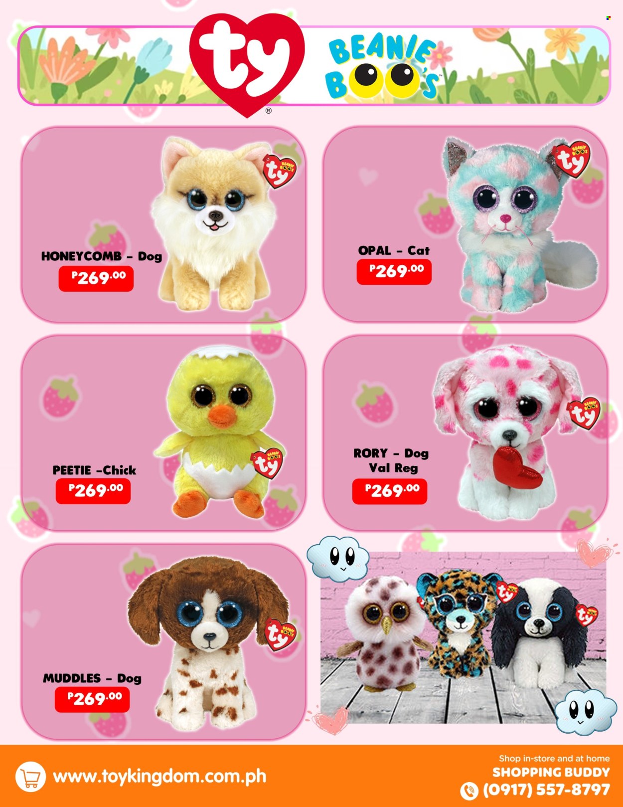 Toy Kingdom offer. Page 1